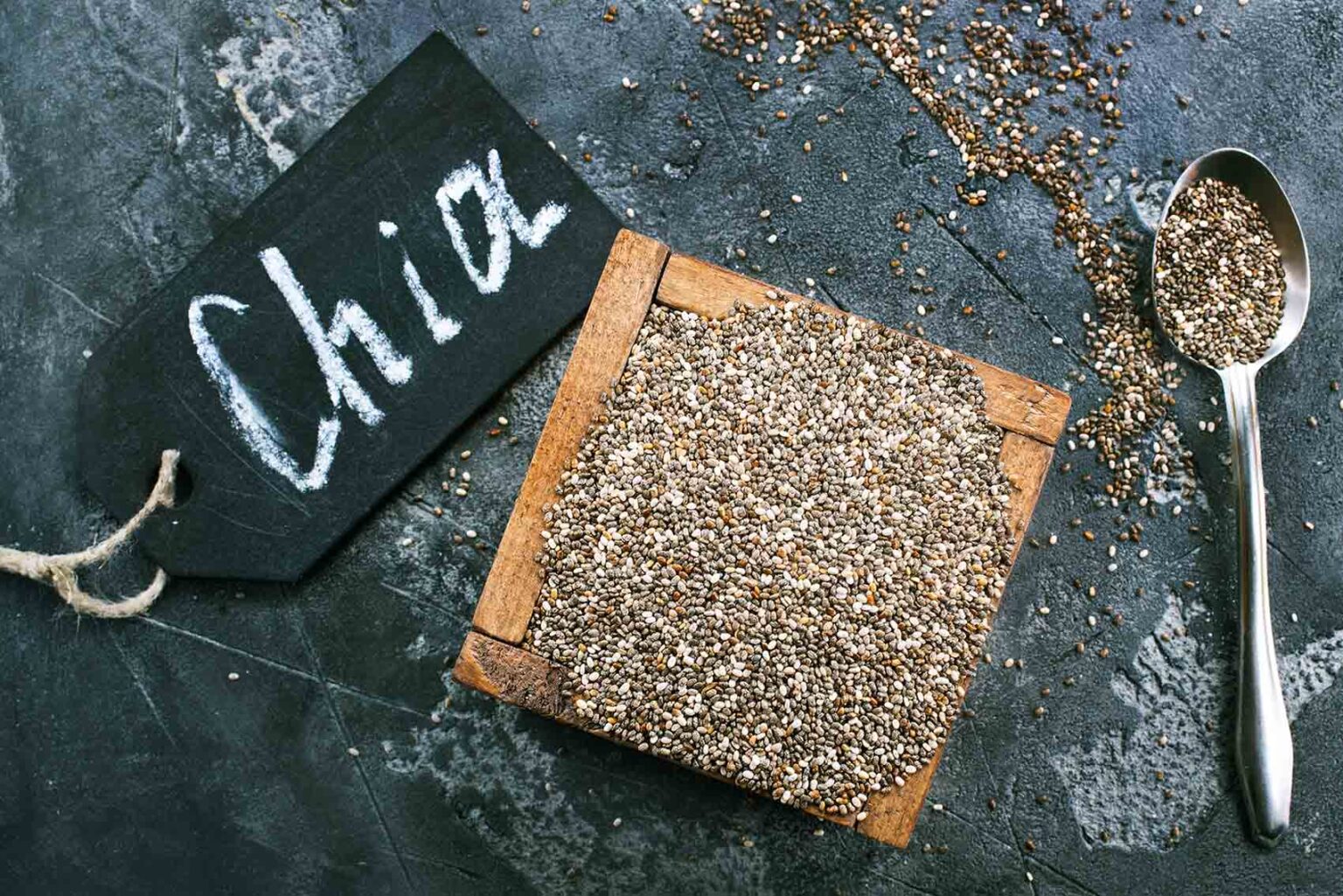 Le token Chia : Un avenir prometteur dans le monde des cryptomonnaies