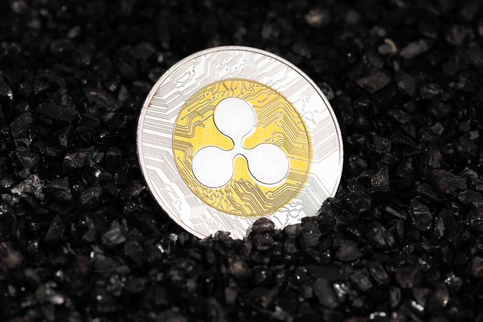 Projet XRP : Redéfinir les transactions financières à l'ère de la blockchain